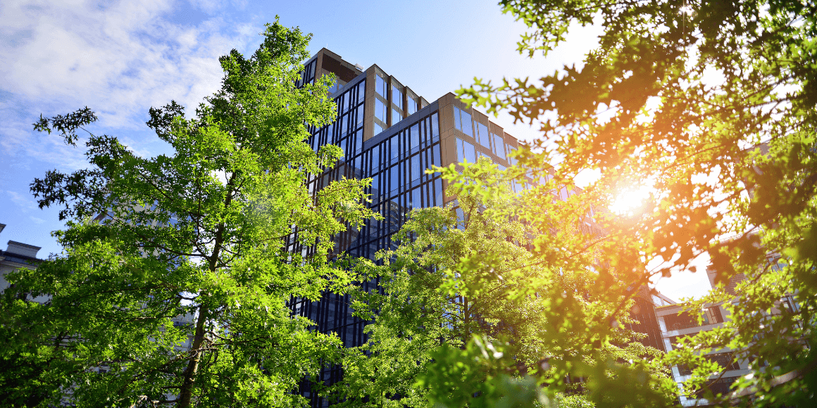 modern commercial building on a sunny day behind a line of trees